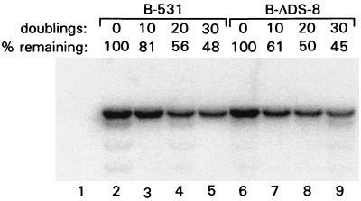 FIG. 5