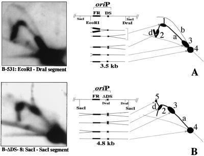 FIG. 8