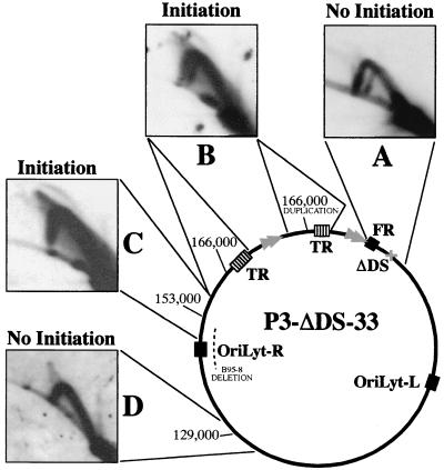 FIG. 7