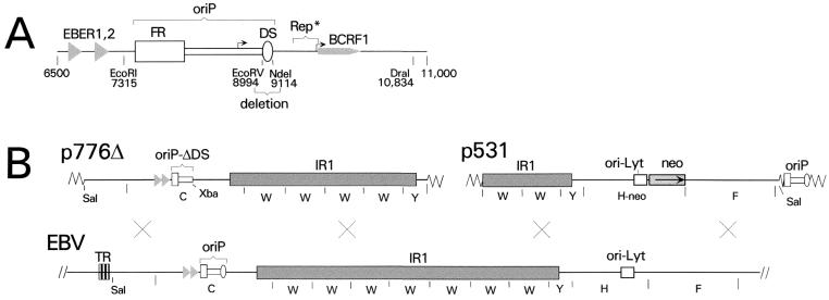 FIG. 1