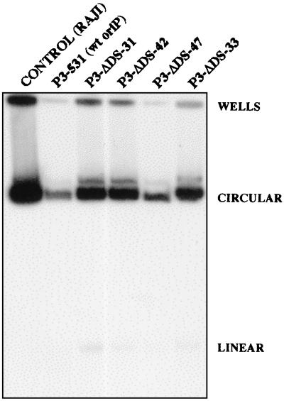 FIG. 3