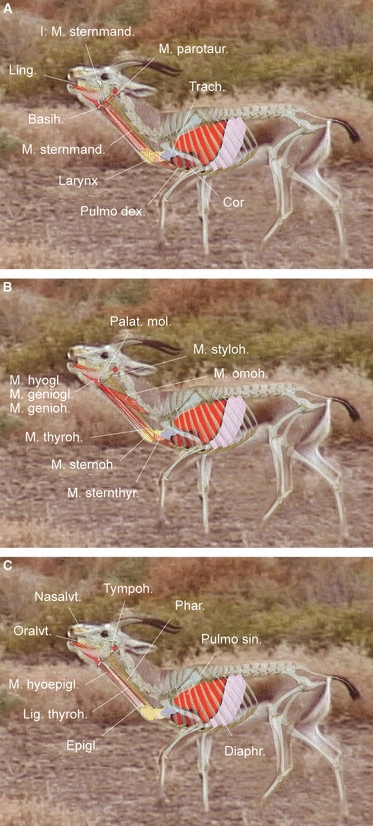 Fig. 10