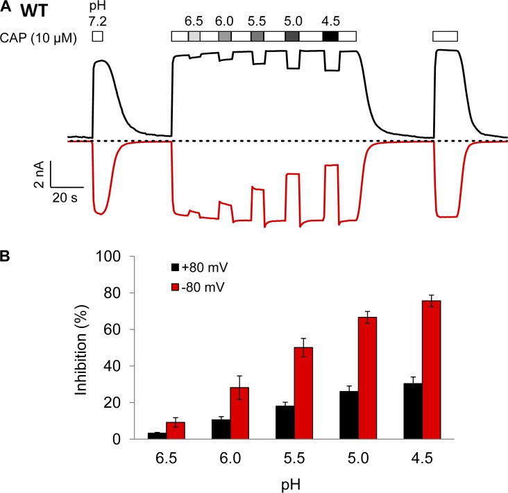 Figure 6.