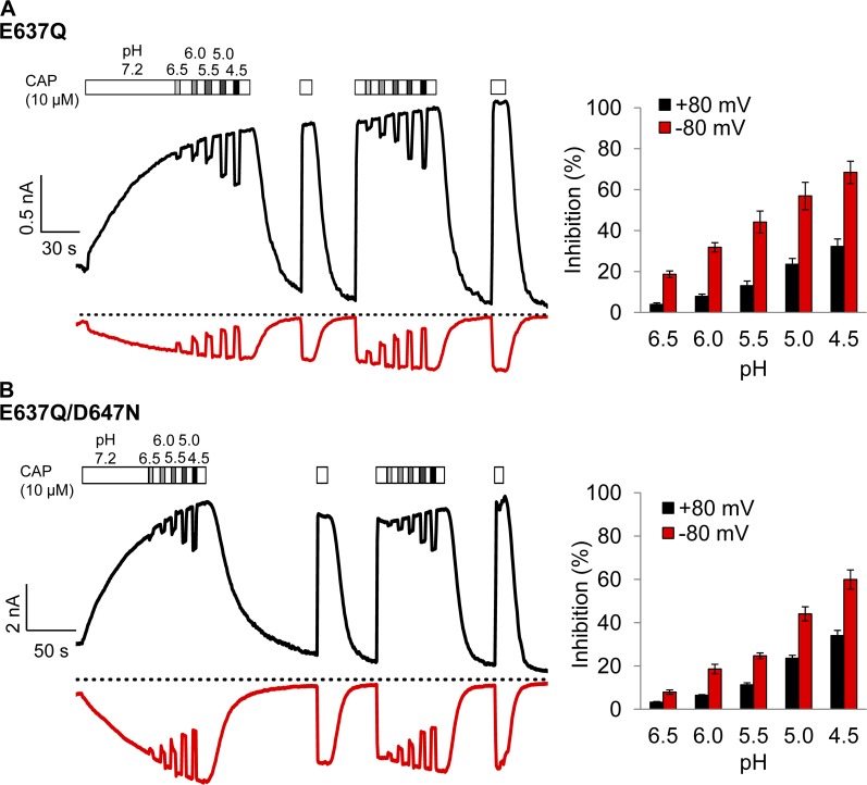 Figure 13.