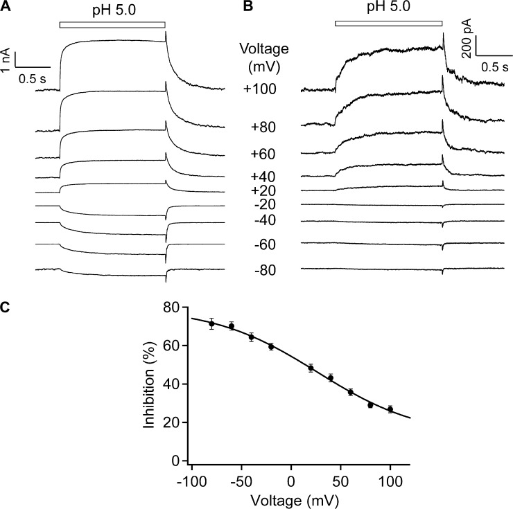 Figure 7.