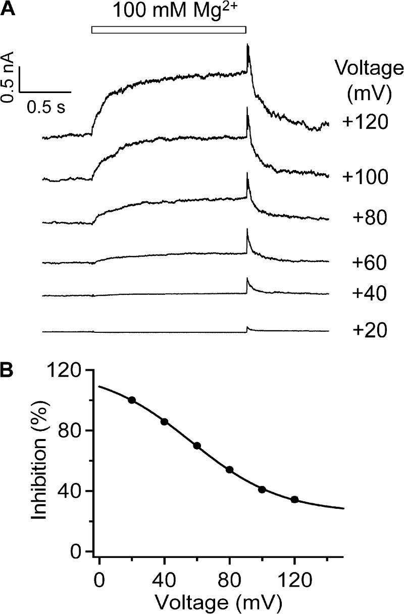 Figure 10.