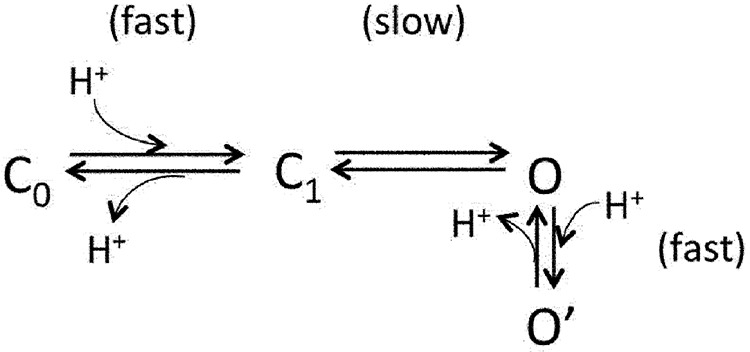 graphic file with name JGP_201511386_Scheme1.jpg