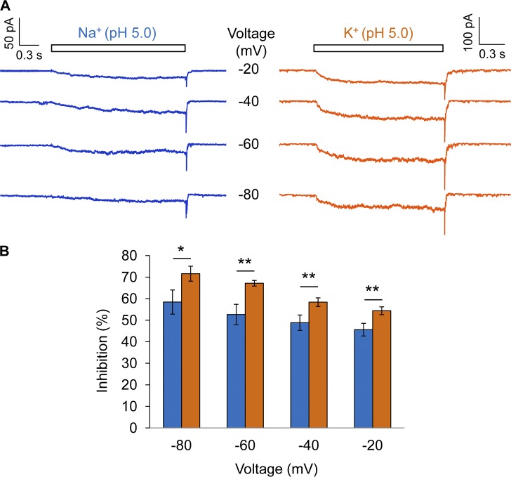 Figure 11.