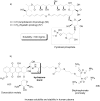 Figure 23