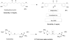 Figure 32