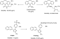 Figure 31
