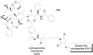 Figure 24