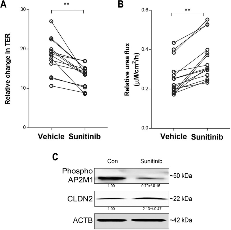 Figure 10.