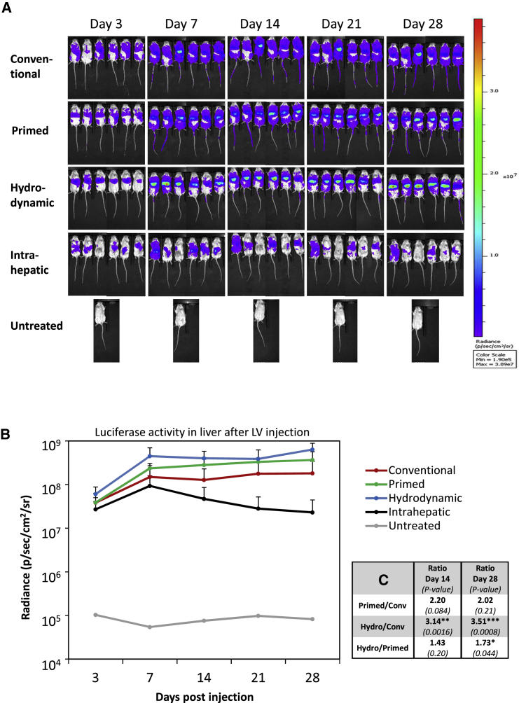 Figure 2