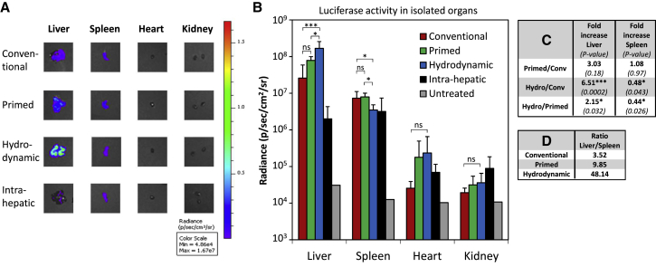 Figure 3