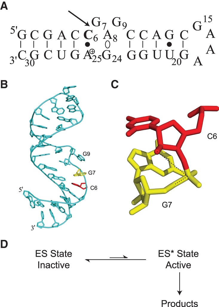 FIGURE 1.