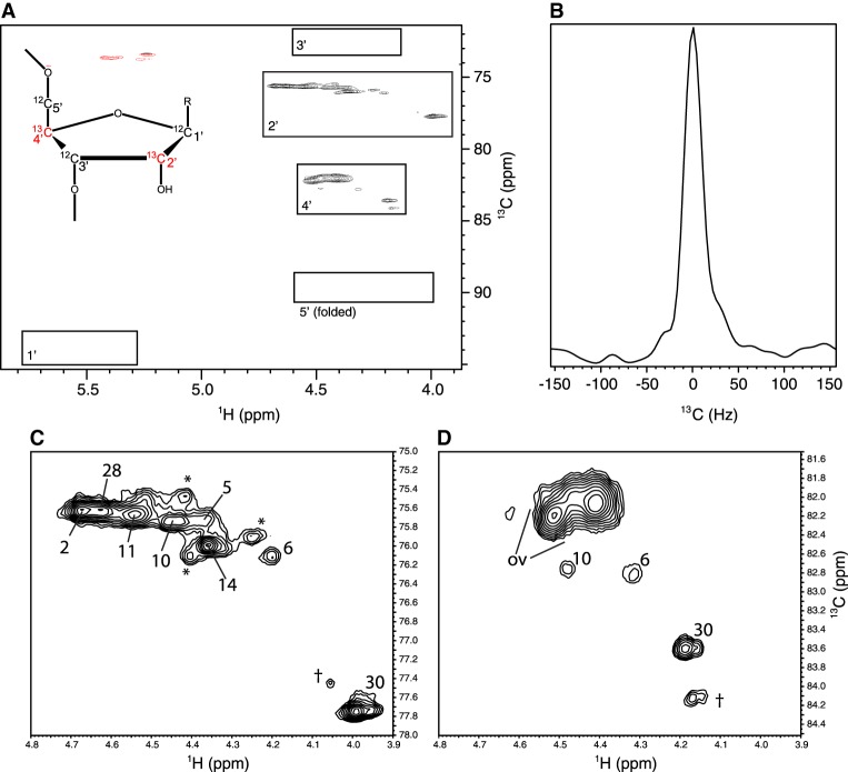 FIGURE 3.