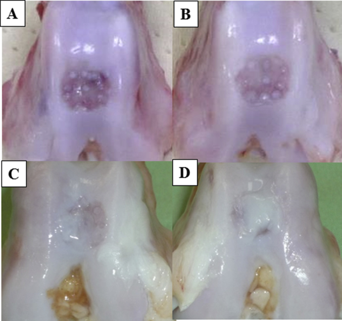 Fig. 3