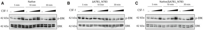 Figure EV3