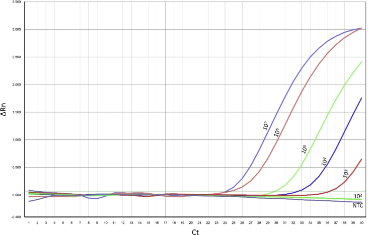 Fig. 2