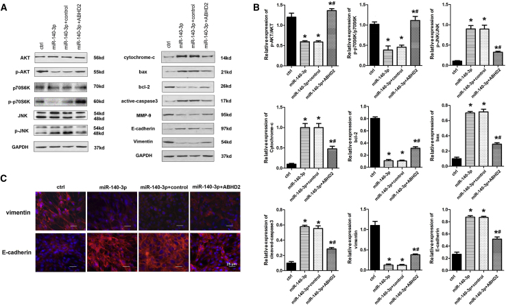 Figure 6