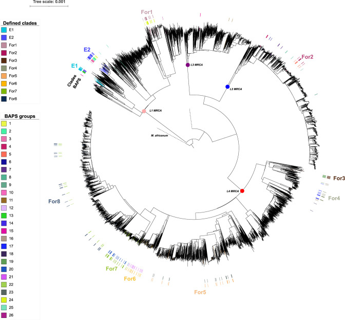 Fig. 4.