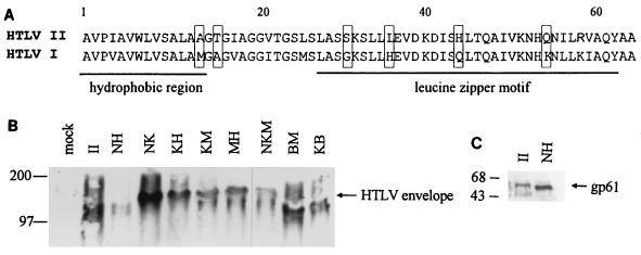 FIG. 6