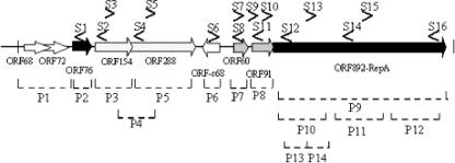 FIG. 2.