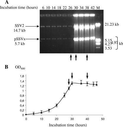 FIG. 1.