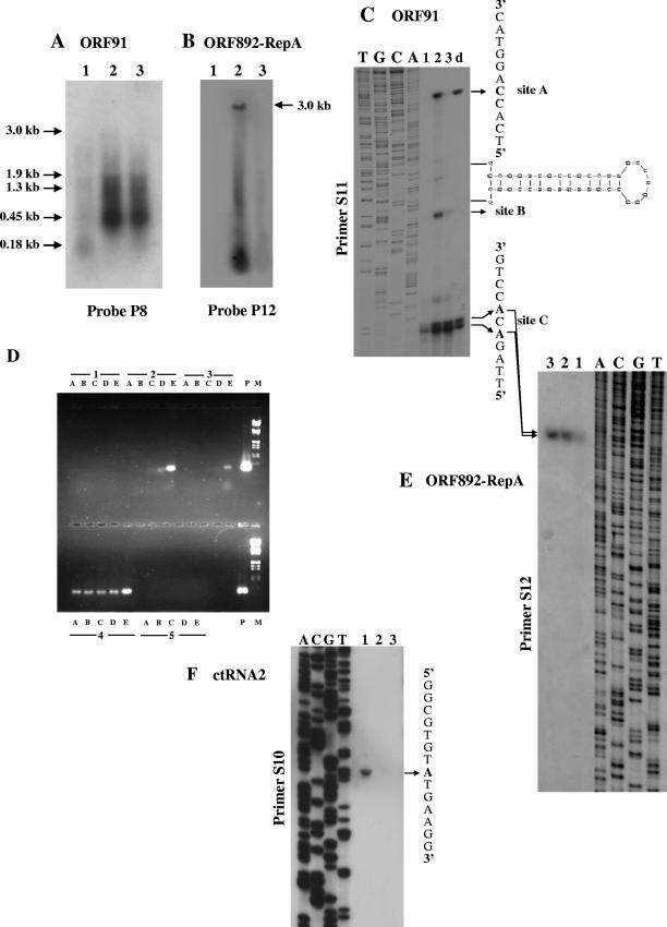 FIG. 4.