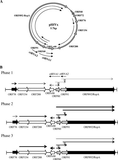 FIG. 5.