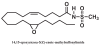 Figure 3)