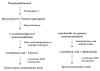 Figure 2)