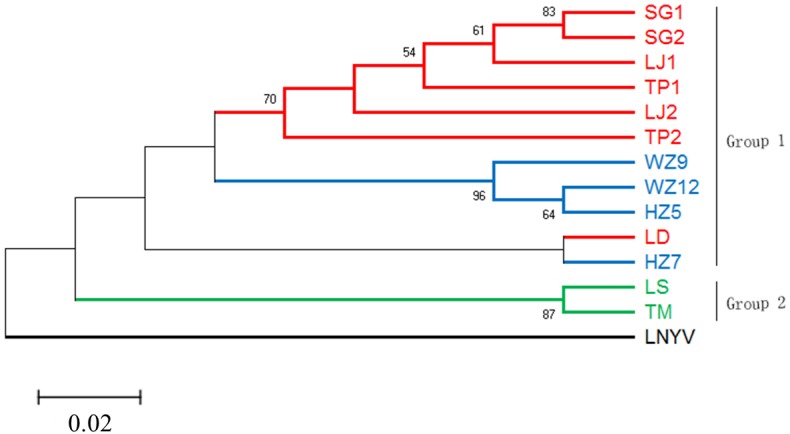 FIGURE 4