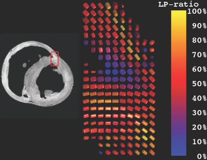 FIG. 3