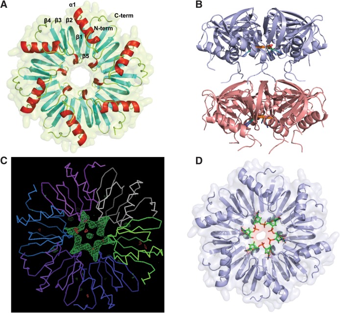 FIGURE 1.