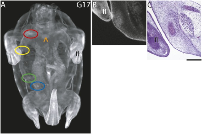 Fig. 2.