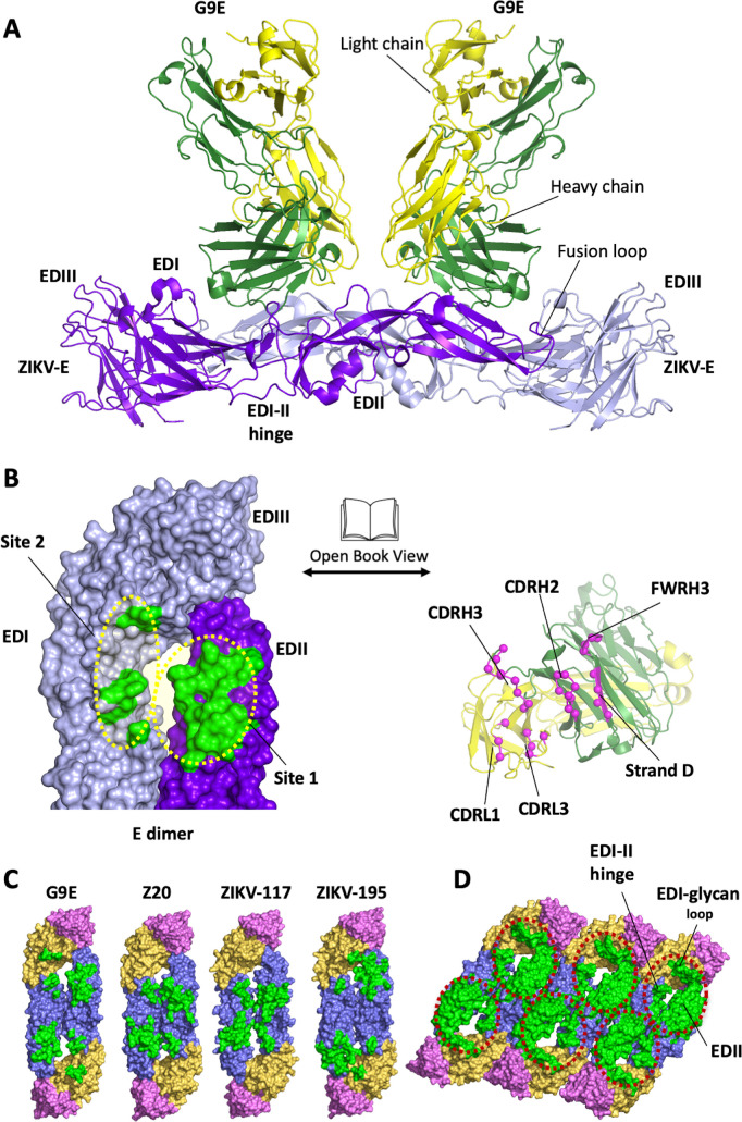 Fig 1