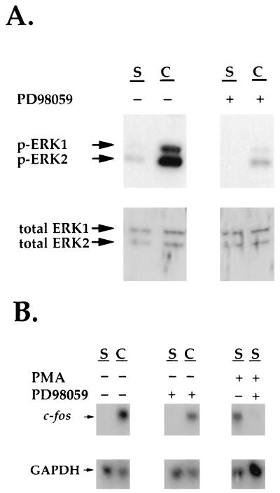 FIG. 9