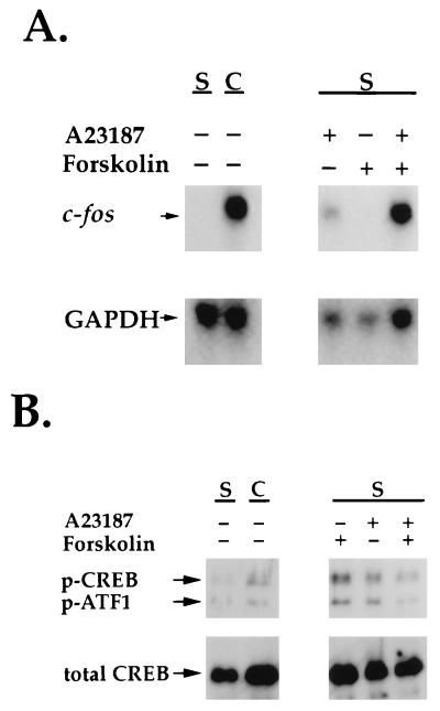 FIG. 7