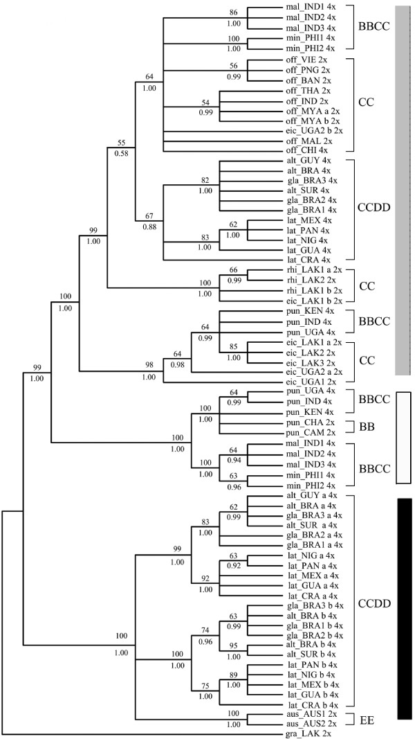 Figure 2