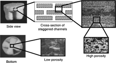 Fig. 16