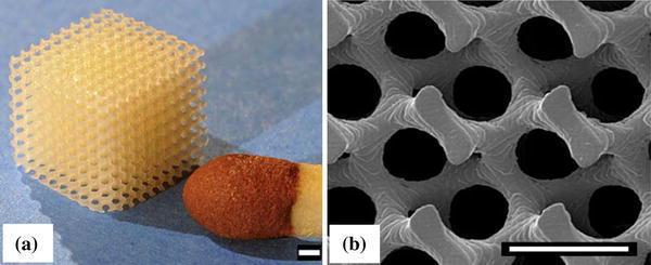 Fig. 11