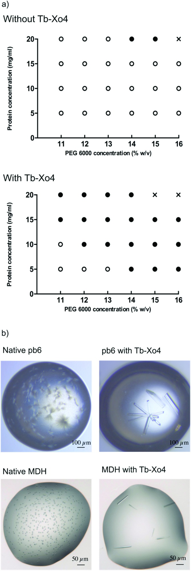 Fig. 5