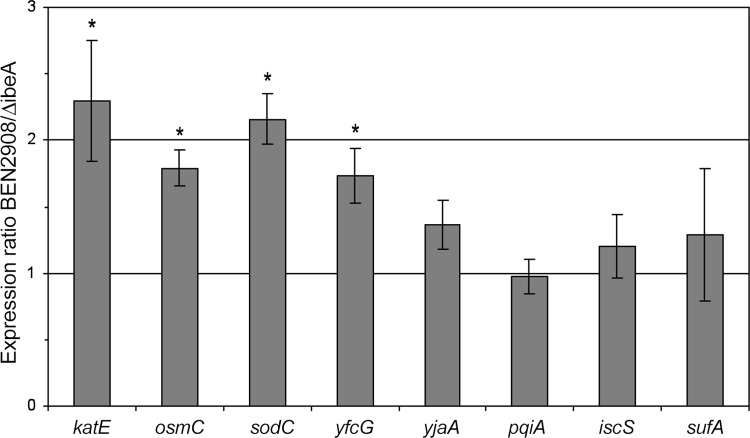 Fig 5