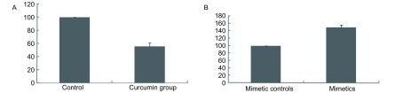 A：姜黄素组、对照组的细胞存活率；B：mimetics组、mimetics controls组的细胞存活率。 A: The cell survival rate of curcumin group and the control group; B: The cell survival rate of mimetics group and mimetics controls group.