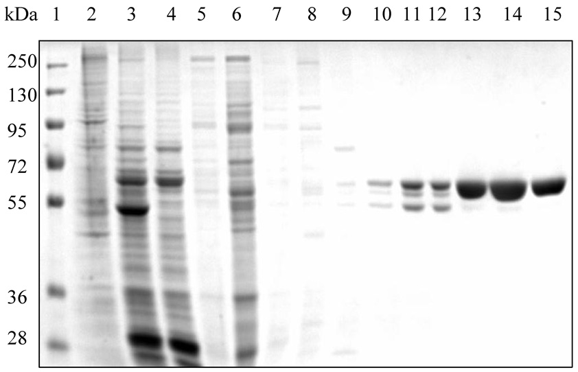 Fig. 2