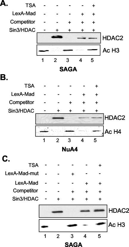 FIG. 5.