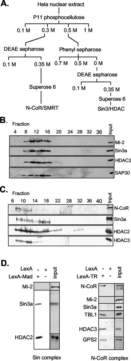 FIG.1.