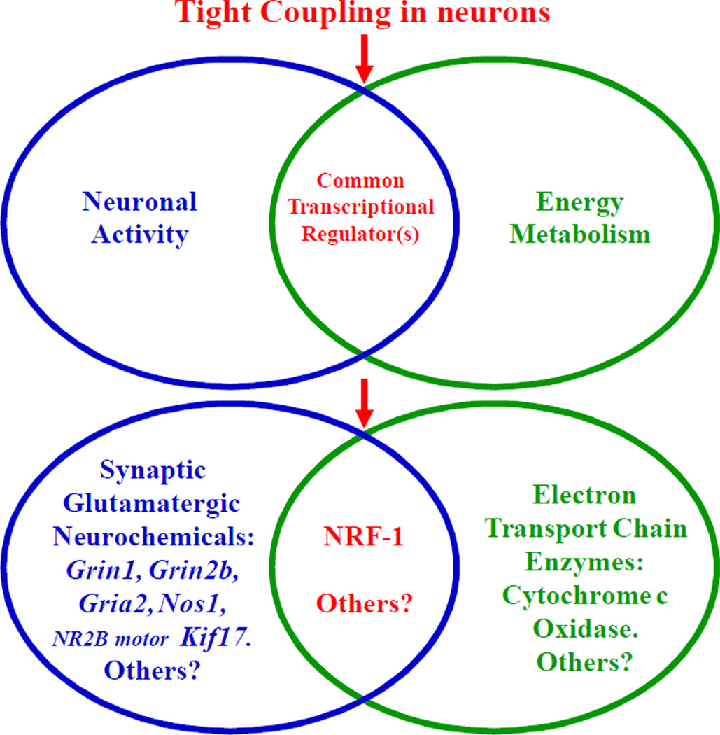 Fig. 12.3